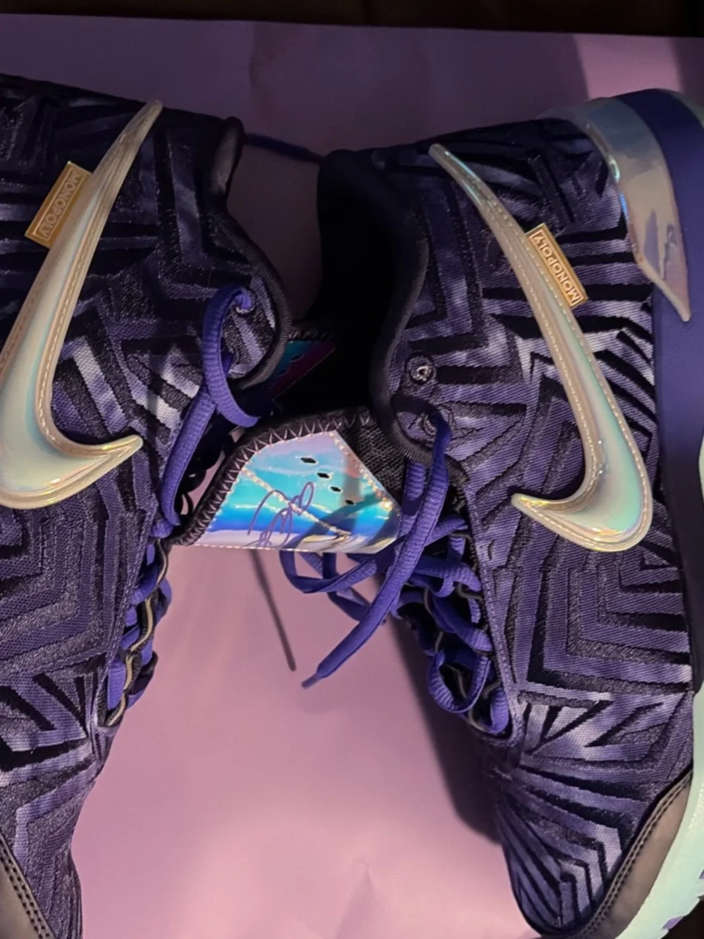 Nike Monopoly Zoom Lebron NXXT Gen Basketball shoes in Persian violet